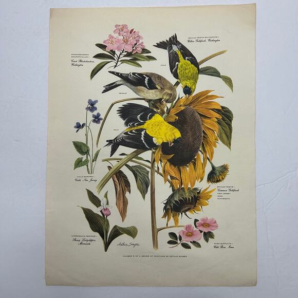 Vintage MCM Arthur Singer Series of Paintings American Home Magazine #'s 1,2,&6 - Picture 12 of 16